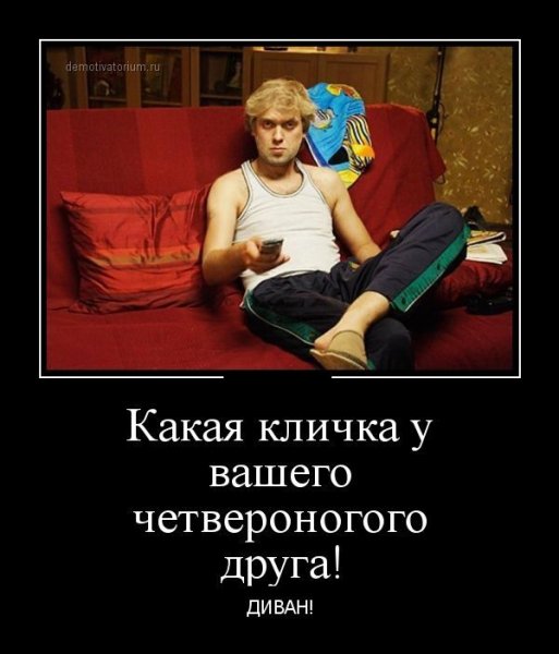 Демотиваторы про идиотов