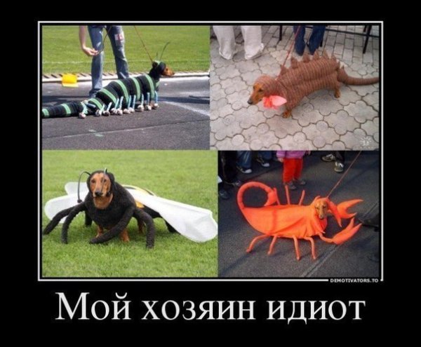 Если человек идиот это надолго