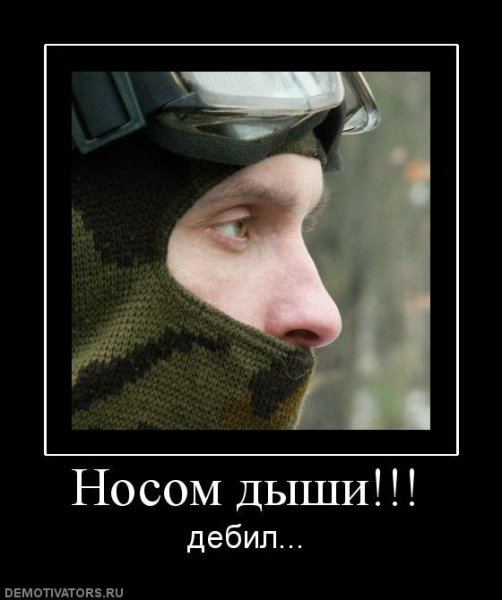Демотиваторы про идиотов