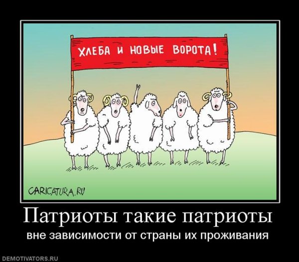 Патриотические демотиваторы