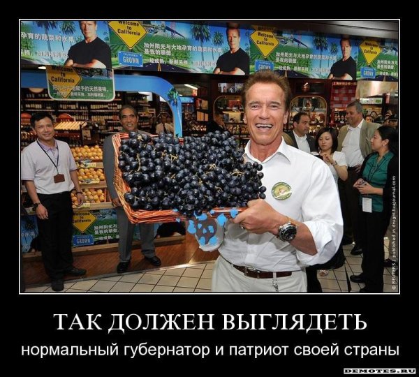 Смешные Патриоты