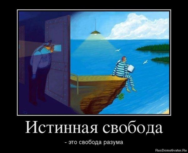 Свобода юмор