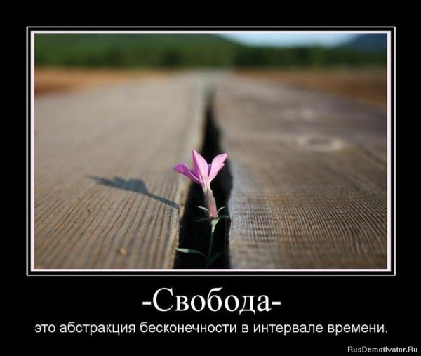 Демотиваторы со смыслом
