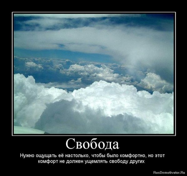 Свобода демотиваторы