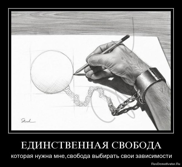 Свобода выбора демотиватор