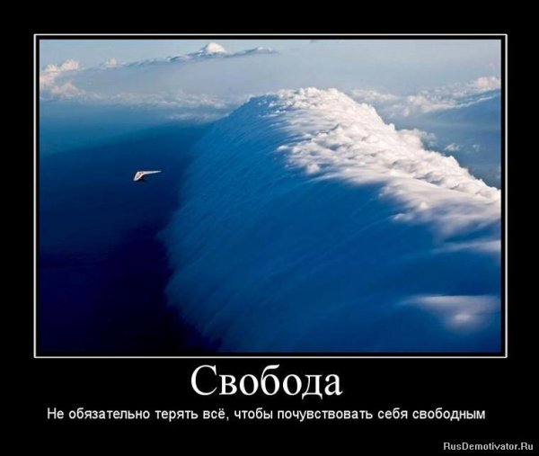 Свобода демотиваторы
