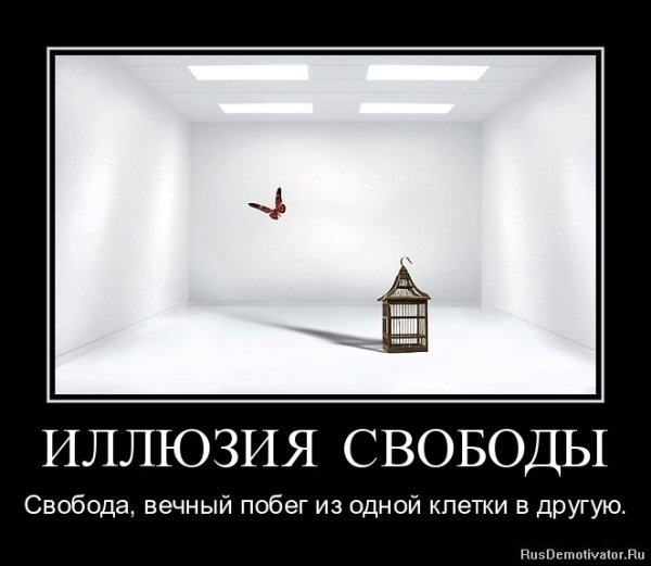Свобода выбора демотиватор