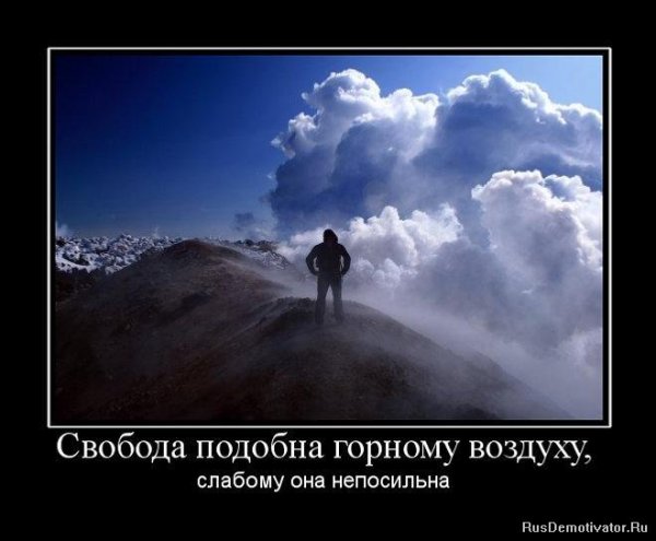 Свобода демотиваторы