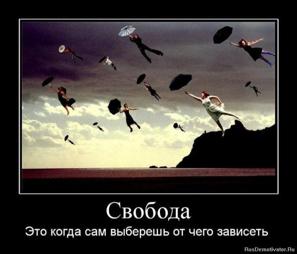 Свобода юмор
