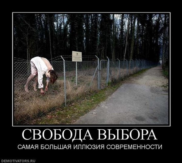 Свобода выбора демотиватор