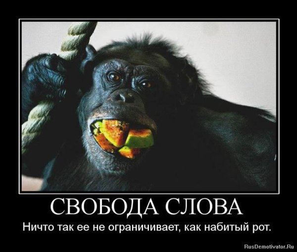 Свобода демотиваторы