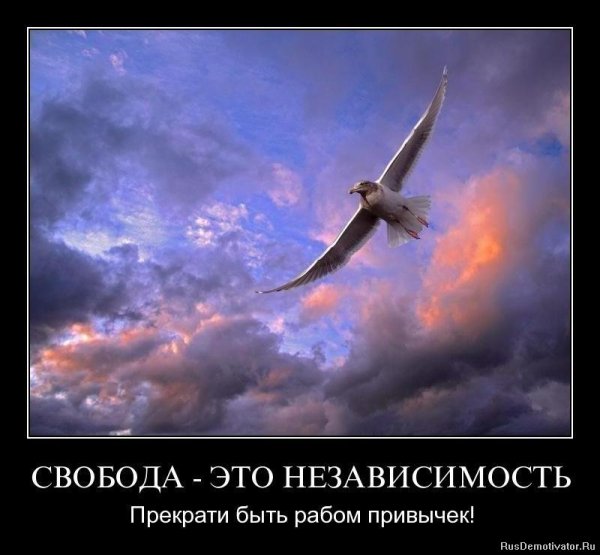 Свобода демотиваторы