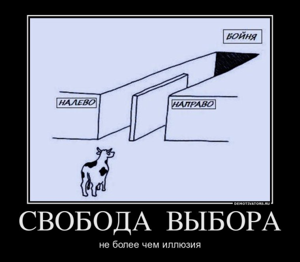 Иллюзия выбора