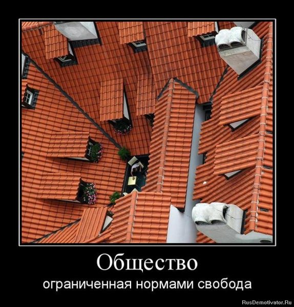 Демотиваторы про общество
