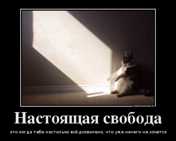 Свобода демотиваторы