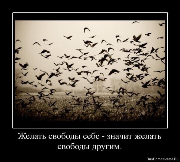 Свобода демотиваторы