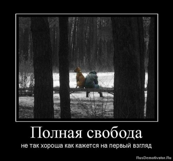 Цитаты про свободу смешные