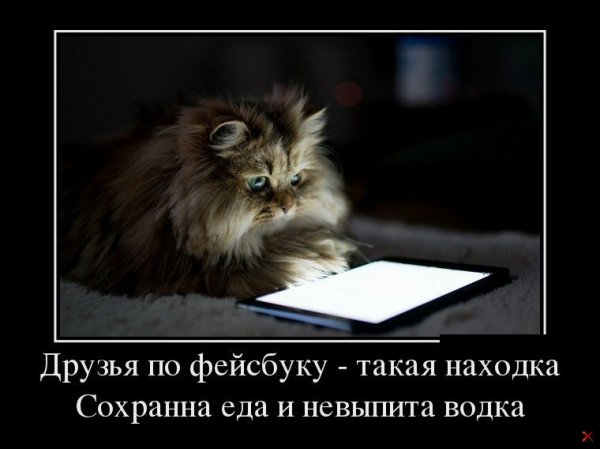 Фейсбук прикол
