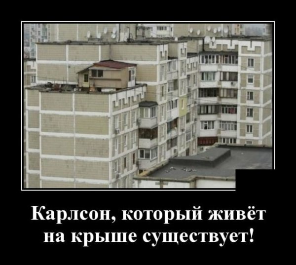 Который живет на крыше