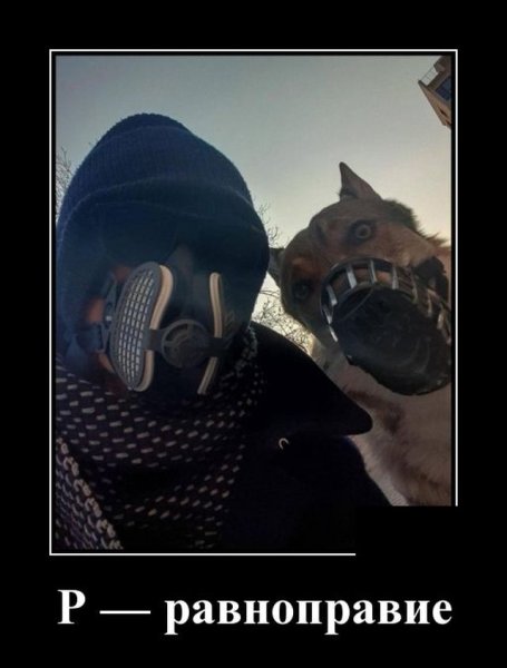 Демотиватор братство