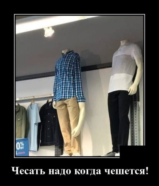 13 Демотиватор