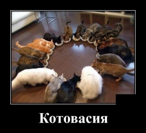 Демотиваторы про Фейсбук