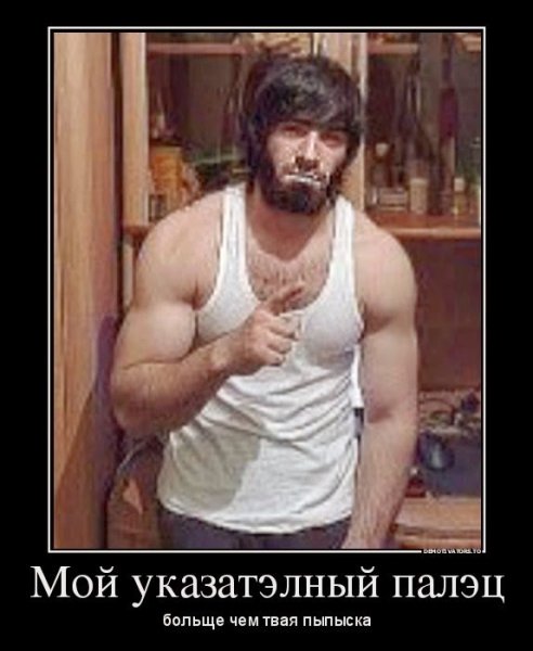 Kavkaz guys демотиваторы