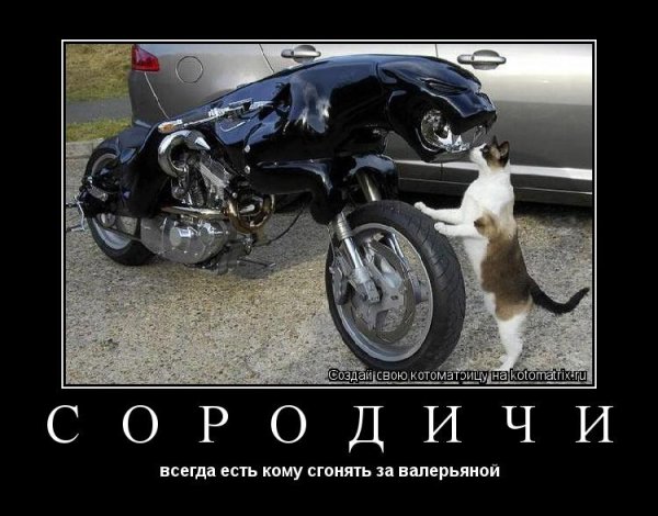 Байкер юмор