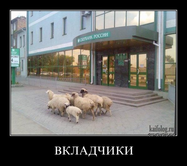 Банк приколов