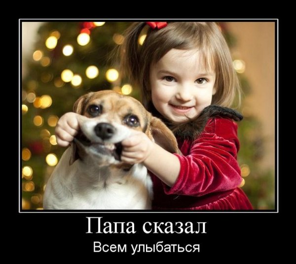 Мотиваторы про собак