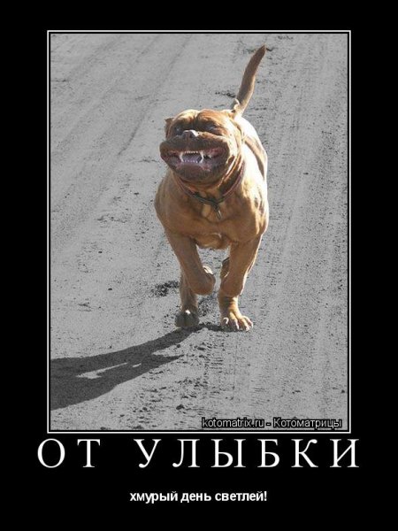 Демотиваторы про улыбку
