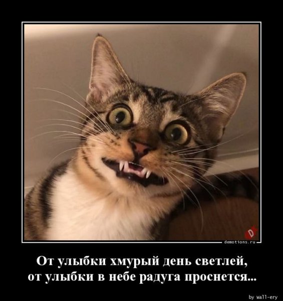 Демотиваторы смешные