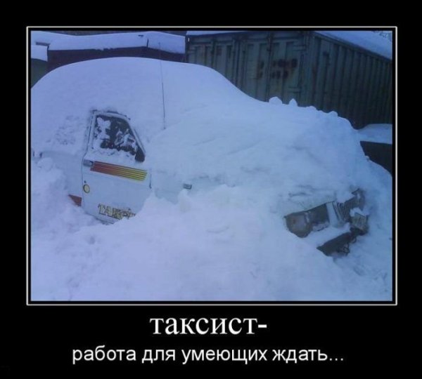 7788 Позвони и мы подбросим