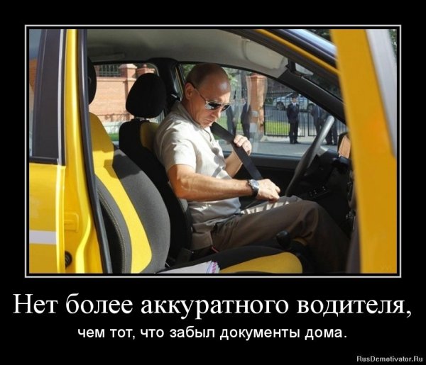 Такса едет на такси стих