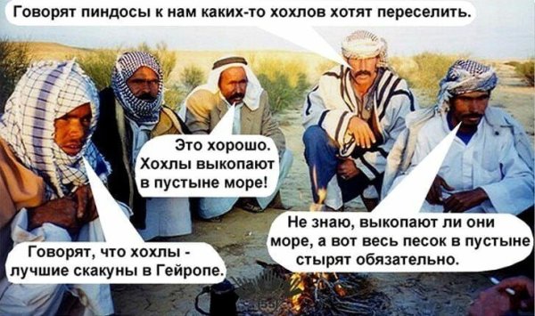 Смешные фразы про Хохлов