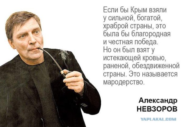 Высказывания Невзорова о России