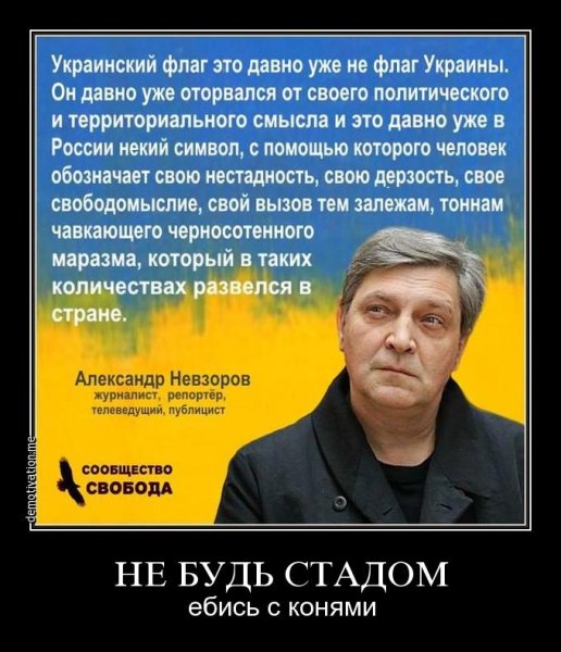 Высказывания Невзорова