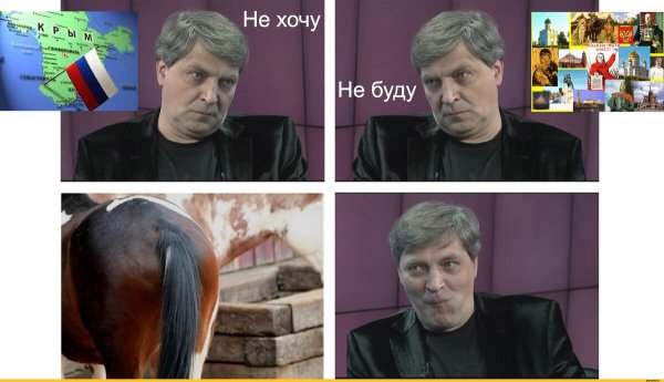 Невзоров конееб