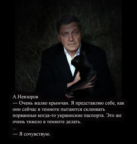 Высказывания Невзорова о России