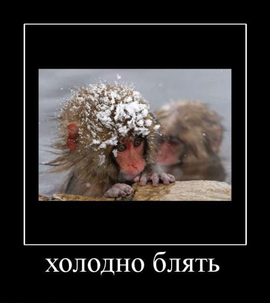 Холодно демотиваторы