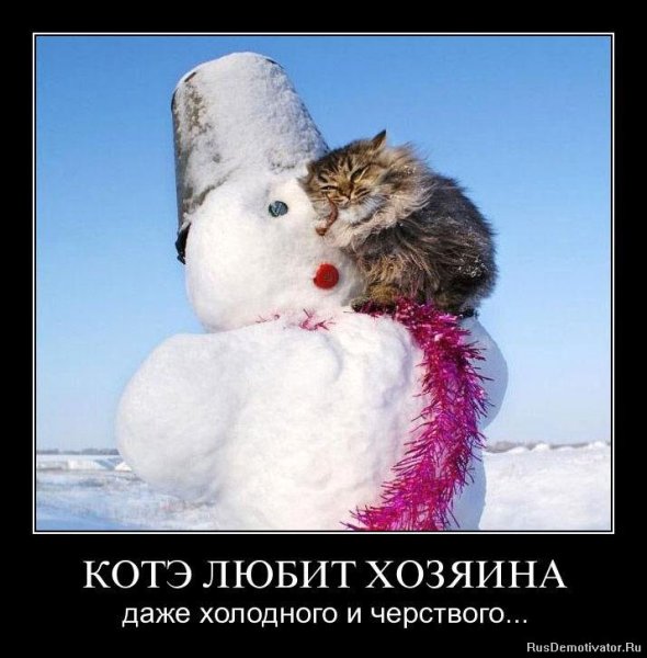 Демотиваторы про зиму смешные