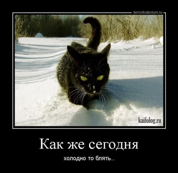 Демотиваторы про холод