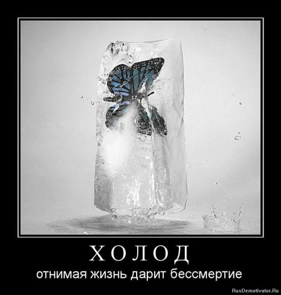 Приколы про холод