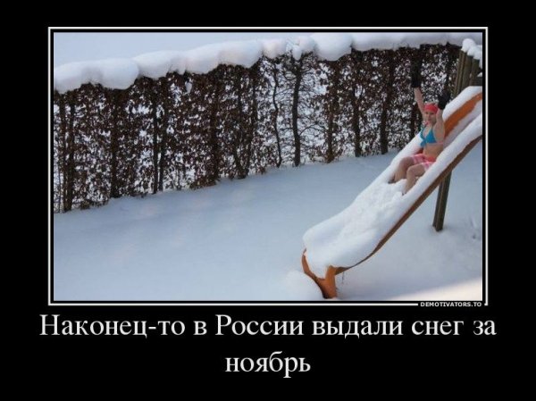 Про Холодное лето прикольные