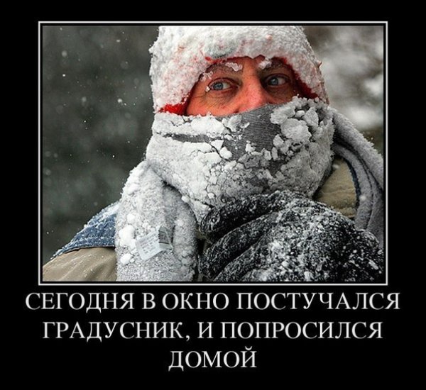 Шутки про Холодное море