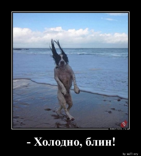 Холод юмор
