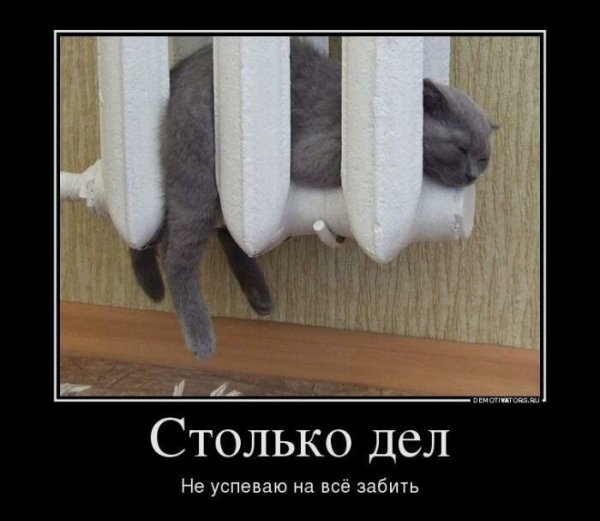 Приколы про Мороз картинки