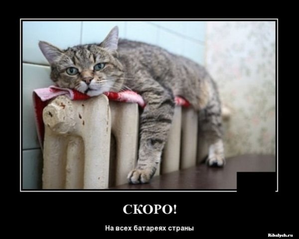 Приколы про лето