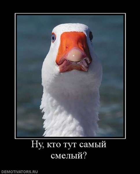 Гусь Мем