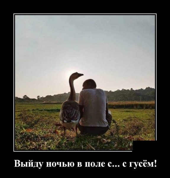 Демотиваторы ироничные